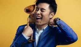 明星陈赫的爆料视频,娱乐圈背后的惊人真相